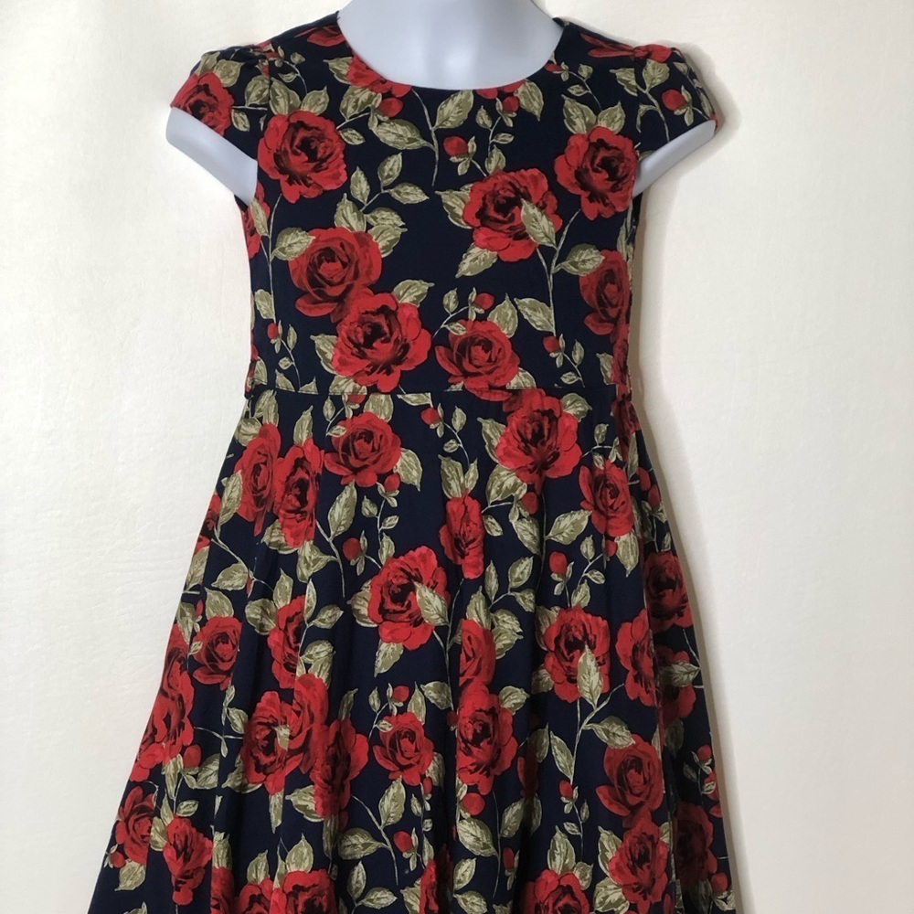Bonny Billy girls blue red roses floral dress 130